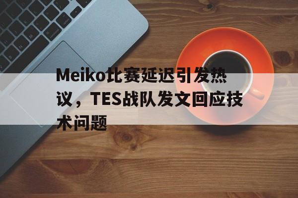 Meiko比赛延迟引发热议，TES战队发文回应技术问题